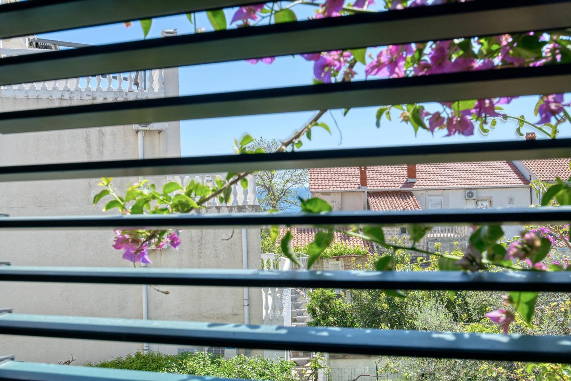 Apartment Zenta Petrovac na moru