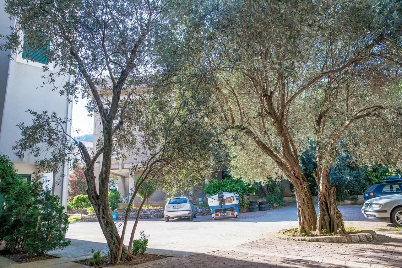 Zenta Petrovac na moru